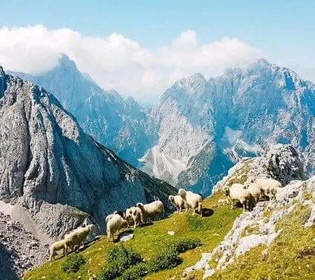 Apartma Manca Apartman