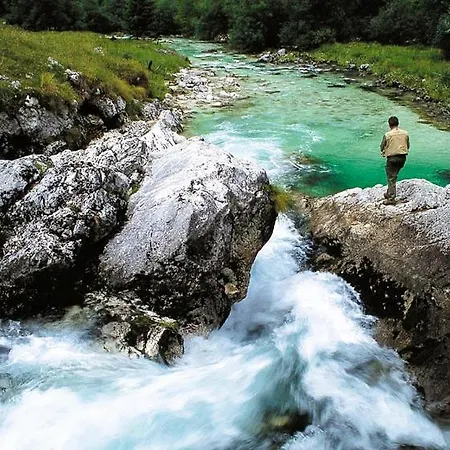 Apartma Manca Apartman Kranjska Gora