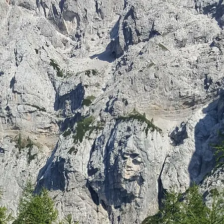 Daire Apartma Manca *